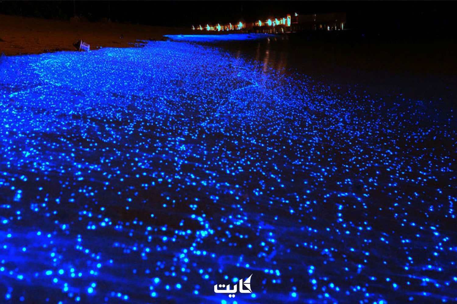 علت علمی ایجاد نور آبی رنگ در ساحل تنگ چابهار